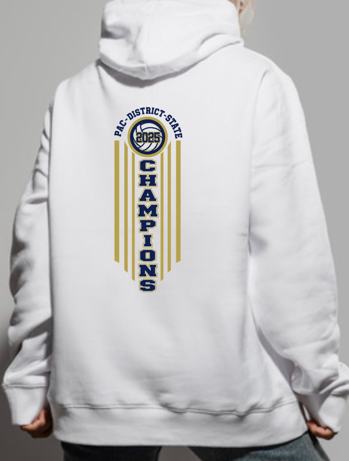 SFVB CHAMPIONS HOODIE