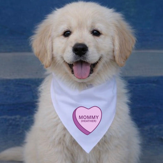 Slide over collar personalized pet bandana